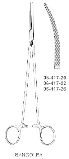 Bangolea Forcep